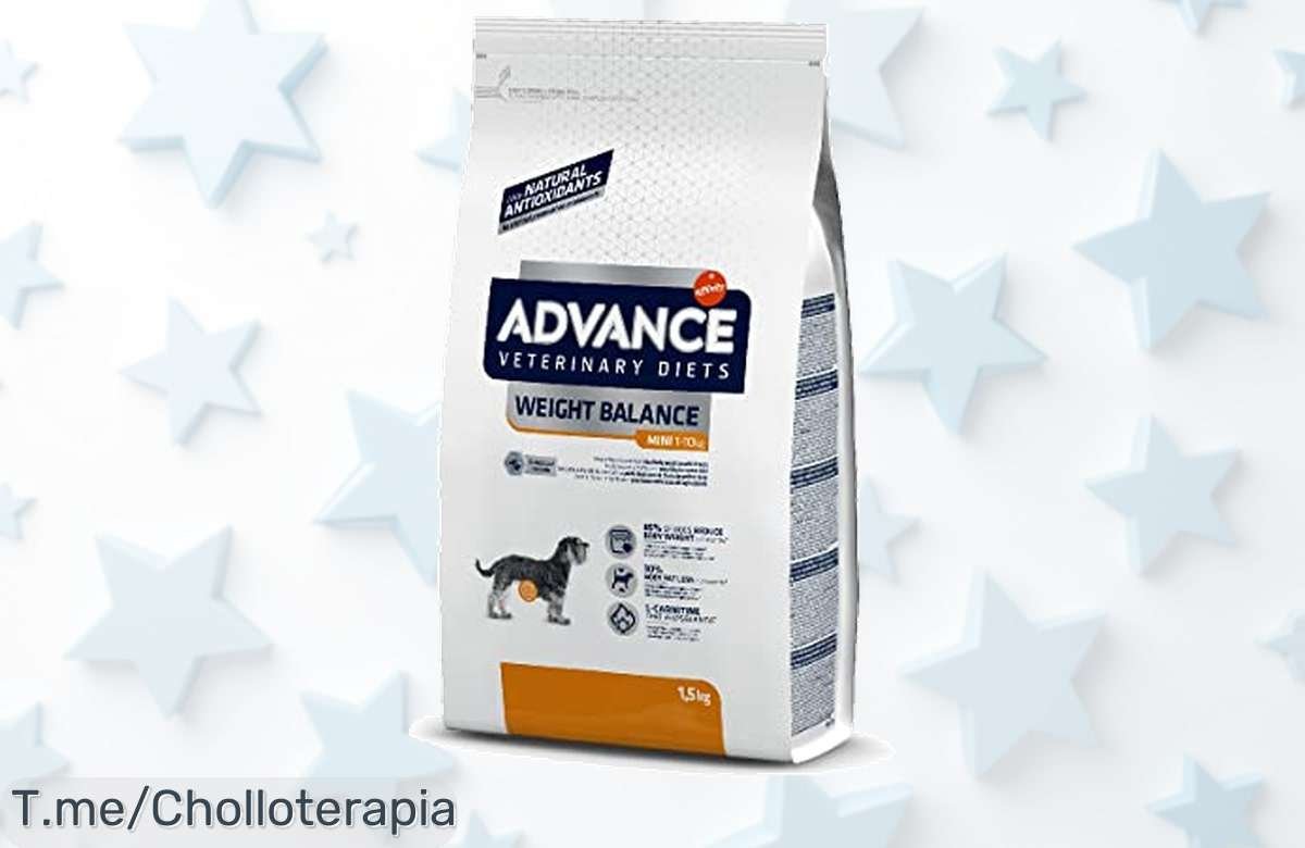 advance veterinary diets weight balance mini para perros con sobrepeso con descuento brutal que llena sin hambre y quema grasa rápido aprovecha este super chollo ¡oferta nunca vista corre ya!