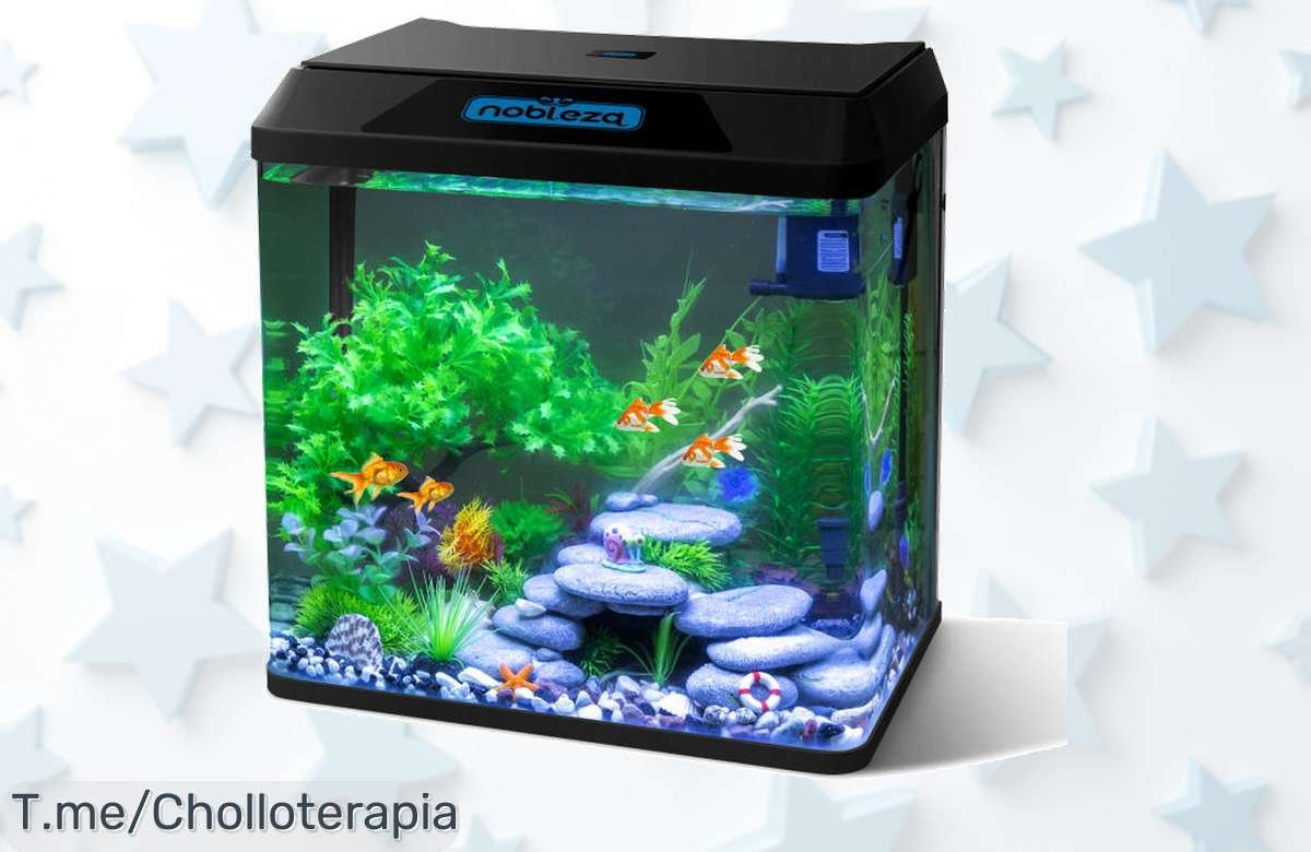 Acuario completo Nobleza 30L con filtro e iluminación LED integrado diseño negro a precio loco oportunidad única descuento brutal corre que vuelan las unidades