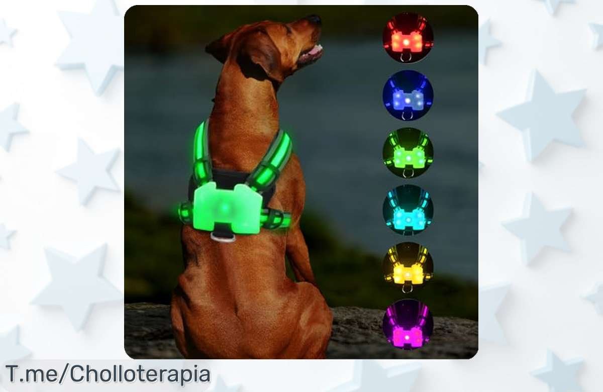 Arnés luminoso para perros con luz led recargable en 7 colores precio de ganga y seguridad total en tus paseos nocturnos aprovecha este ofertón único que vuela rápido compra ya