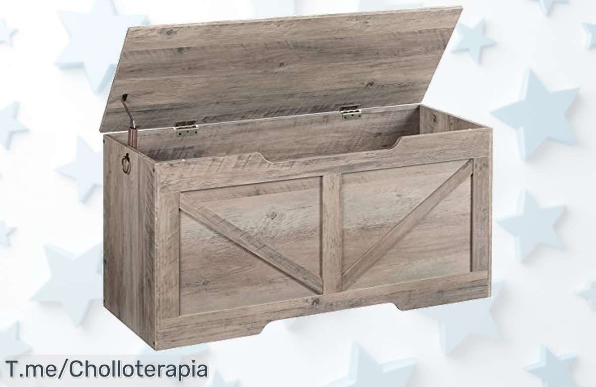 Caja taburete hoobro robusta y segura con espacio gigante para guardar ¡aprovecha este precio loco nunca visto, ofertón limitado que se agota ya!