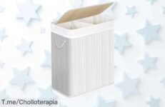 Cesta de lavandería songmics con tapa y dos compartimentos diseño práctico que organiza tu ropa super chollo con descuento brutal oferta única ¡compra ya!