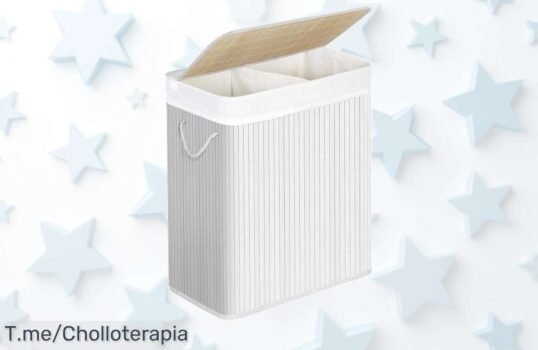 Cesta de lavandería songmics con tapa y dos compartimentos diseño práctico que organiza tu ropa super chollo con descuento brutal oferta única ¡compra ya!