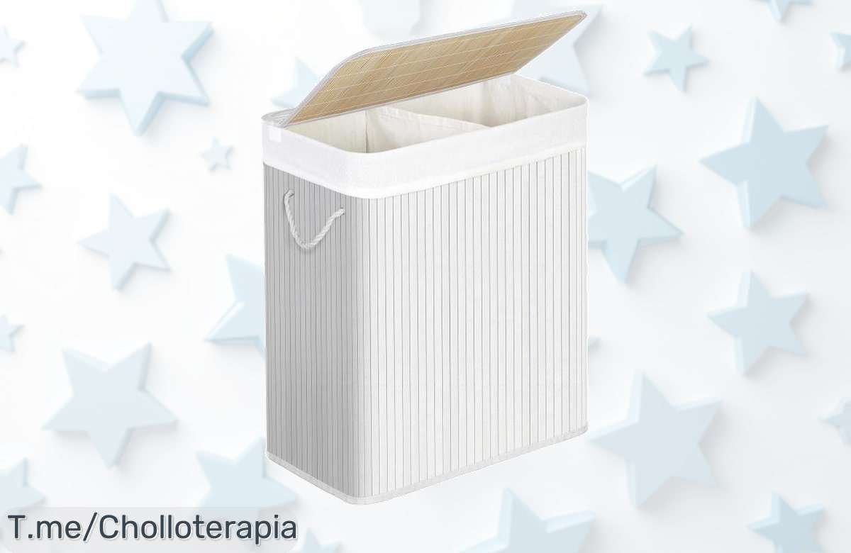 Cesta de lavandería songmics con tapa y dos compartimentos diseño práctico que organiza tu ropa super chollo con descuento brutal oferta única ¡compra ya!