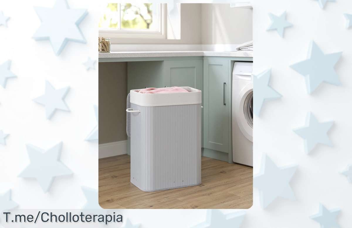 Cesto de ropa sucia SONGMICS con tapa y bolsa lavable diseño plegable ahorro nunca visto precio loco oferta limitada actúa ya antes que desaparezca el ofertón