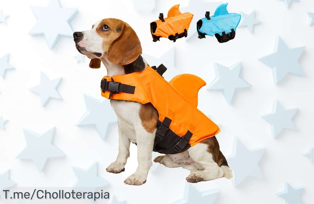 Chaleco salvavidas para perros con diseño de tiburón y flotabilidad extra nunca visto aprovecha este ofertón con descuento brutal precio loco ¡compra ya antes que se agoten!