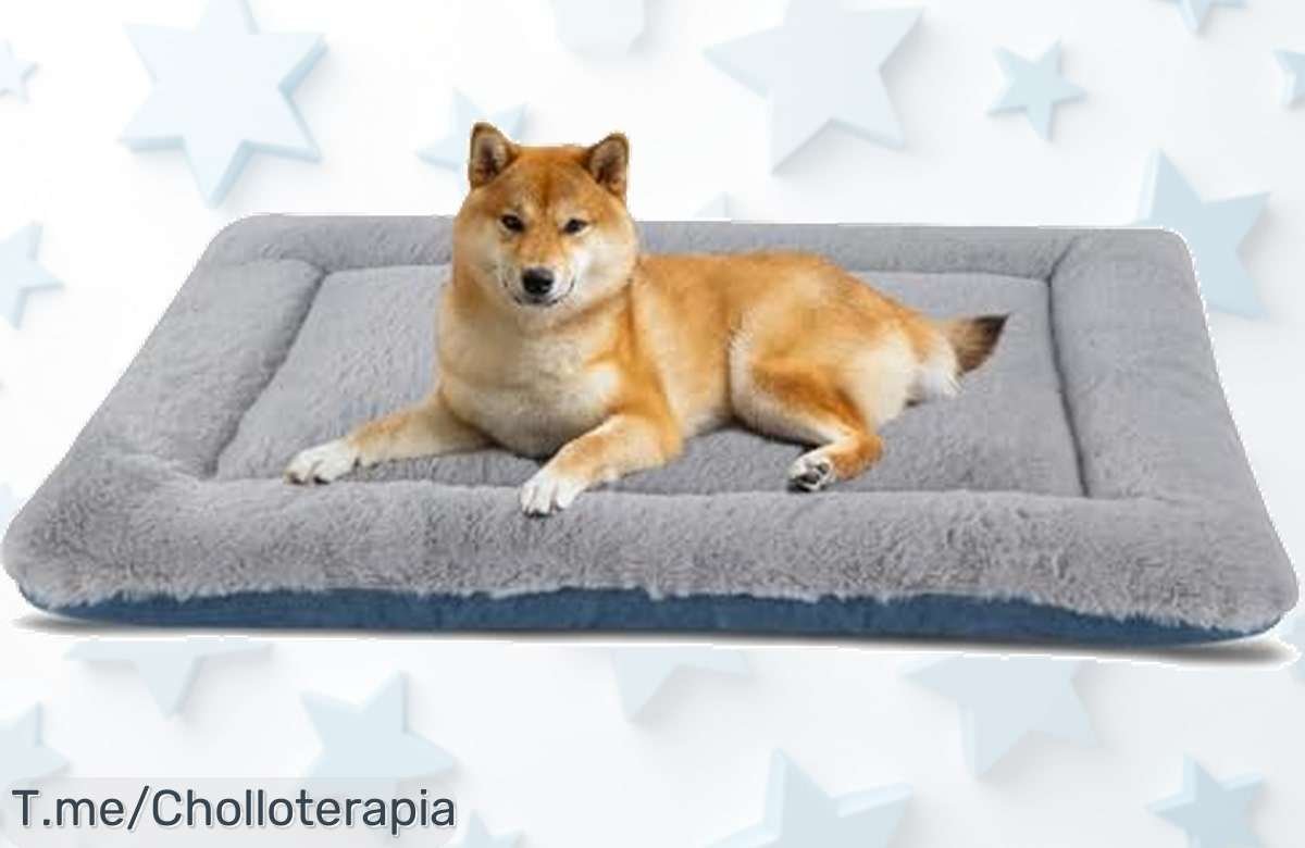 Colchoneta para perros y gatos doble cara súper resistente oferta brutal que tu mascota merece con un super chollo de limpieza fácil corre antes que se agoten