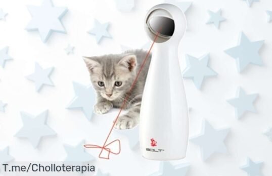 Descubre PetSafe Bolt el juguete interactivo con luz LED que enloquece a tu gato diversión sin pausa y descanso garantizado aprovecha este ofertón de precio loco por tiempo limitado
