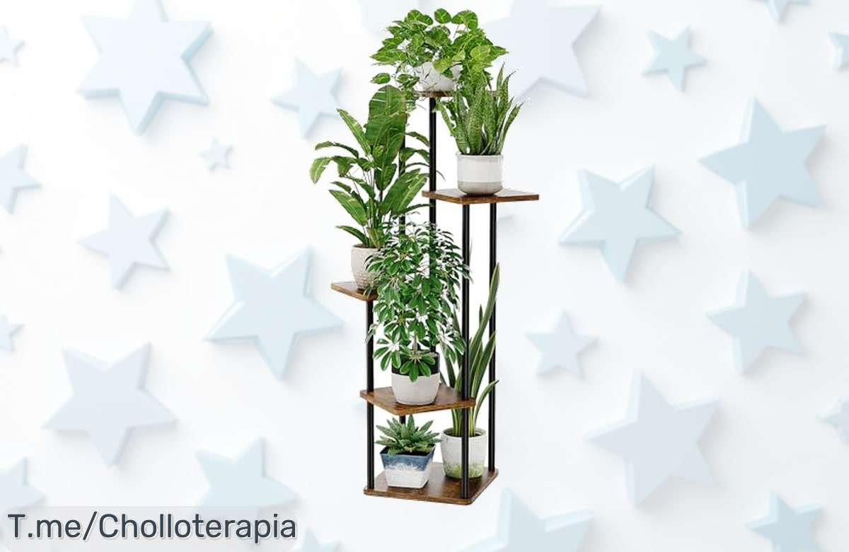 Descubre bamworld soporte esquinero 5 niveles único que ahorra espacio y soporta mucho peso perfecto para tu hogar precio de ganga con oferta limitada compra ahora o pierdes este ofertón