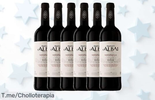 Descubre castillo de albai rioja intenso y frutal con taninos suaves a un precio loco descuento brutal paquete de 6 botellas oferta nunca vista corre antes que se agote