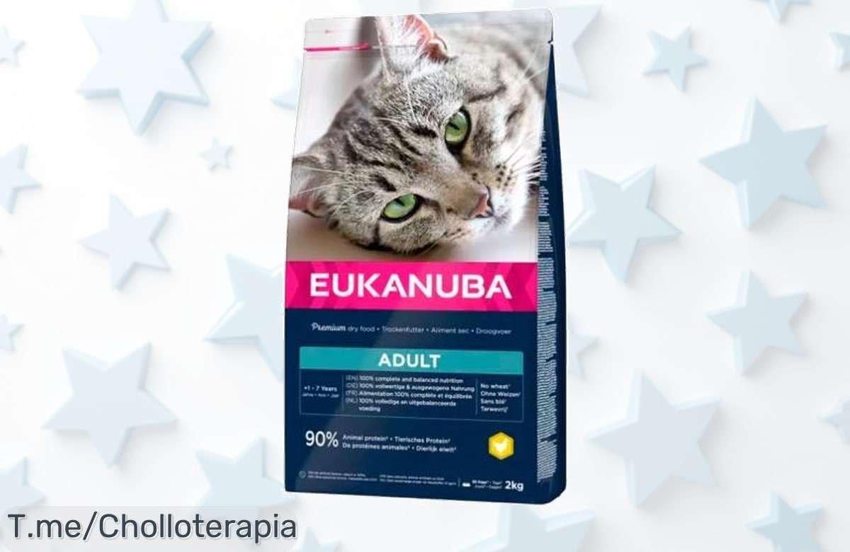 Descubre el pienso eukanuba adult top condition 1+ con descuento brutal para mantener a tu gato sano y activo aprovecha este super chollo antes que se agote ¡precio de ganga!