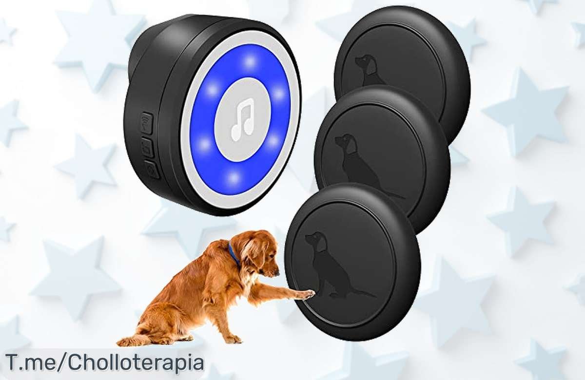 Descubre el timbre inalámbrico para perro con alcance increíble y control total que cambiará tu vida calidad precio nunca visto aprovecha este ofertón por tiempo limitado