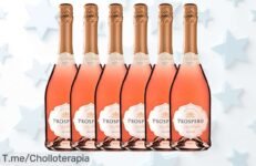 Descubre el vino rosado seco que conquista con burbujas finas y sabor frutal un super chollo nunca visto disfruta este ofertón en pack limitado precio loco actúa ya
