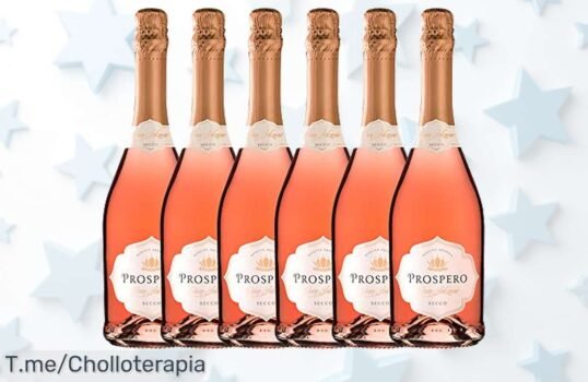 Descubre el vino rosado seco que conquista con burbujas finas y sabor frutal un super chollo nunca visto disfruta este ofertón en pack limitado precio loco actúa ya