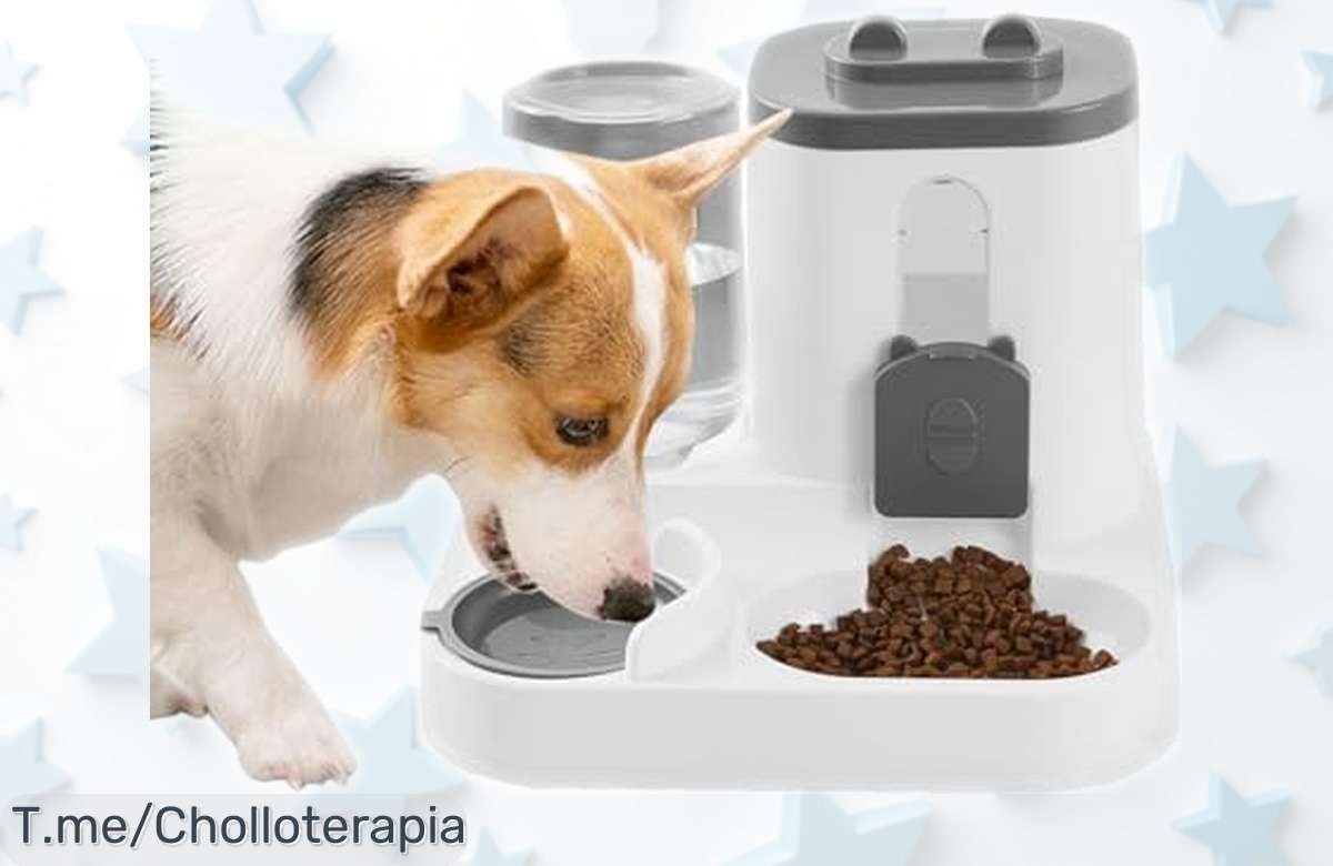 Dispensador automático para gatos y perros con estación silenciosa de comida y agua, súper práctico y sin olores, ahora rebajado a precio muy bajo por tiempo limitado ¡Corre que vuelan!