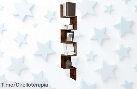 Estantería de esquina Vasagle cinco niveles diseño único aprovecha cada rincón sin ocupar espacio precio loco y descuento brutal solo hoy no esperes más super chollo ideal para tu hogar