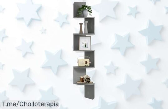 Estantería esquinera Vasagle 5 niveles diseño moderno aprovecha cada rincón con descuento brutal precio de ganga limitado consigue ya este ofertón antes que desaparezca