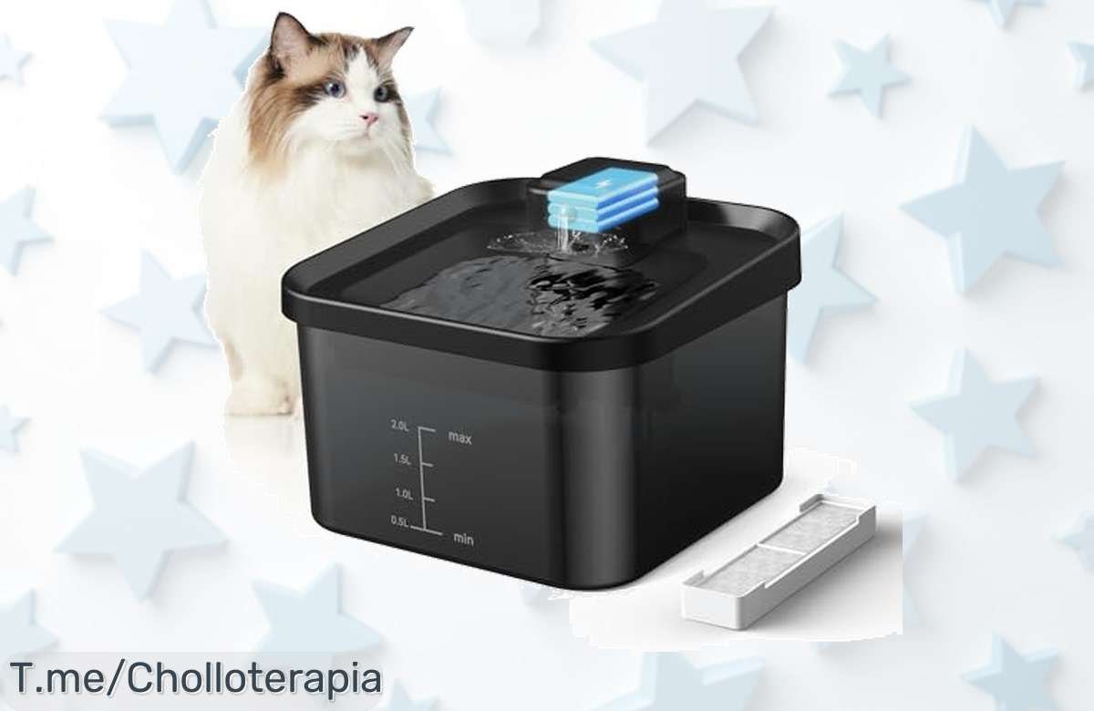 Evary 2L la fuente para gatos súper silenciosa que ahorra agua fresca precio loco y descuento brutal nunca visto ¡aprovecha ya este ofertón antes de que desaparezca!