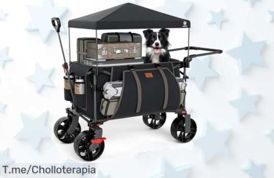 Ever advanced carrito plegable con ruedas 360 y toldo extraíble ligera resistencia de hasta 150 kg precio loco en oferta limitada ¡aprovecha este ofertón único ya!