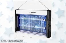 Lámpara antimosquitos usb con luz uv potente y plato recogemoscas precio loco nunca visto protege tu casa ahora oferta limitada actúa ya super chollo descuentos brutal