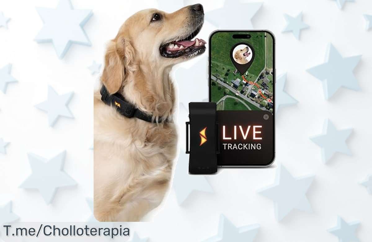Localizador GPS para perros 4G con alarma de fuga y batería hasta 10 días disfruta este super chollo de seguridad nunca visto precio loco disponible por tiempo limitado compra ya