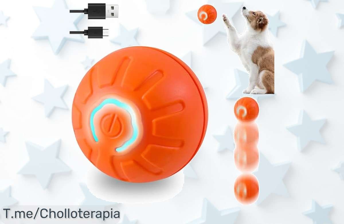 Pelota interactiva para perros y gatos con luz led que enciende sola disfruta de horas sin parar y un súper chollo con descuento brutal ¡aprovecha ya esta oferta nunca vista!