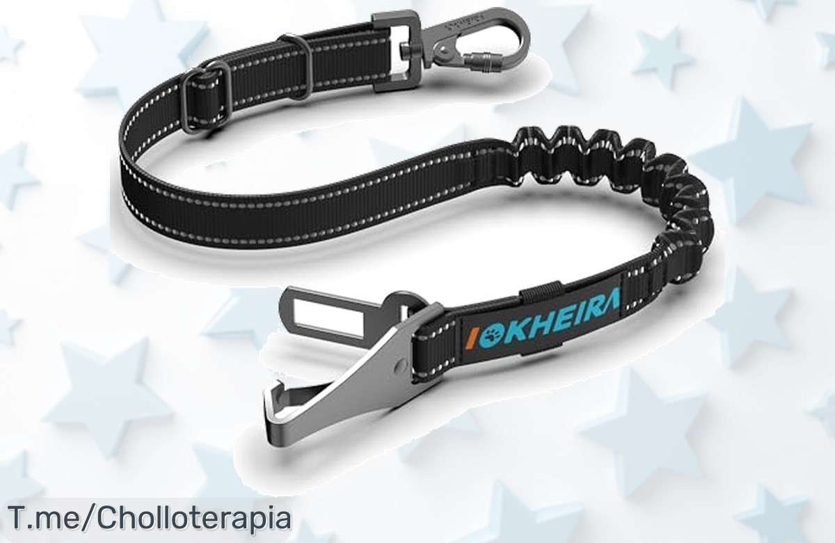 Protege a tu perro con el cinturón súper fuerte iokheira mosquetón giratorio y aguanta tirones descuento brutal precio loco no esperes más oferta limitada compra ya