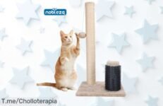 Rascador para gatos resistente talla grande diseño ideal para arañar sin destrozos aprovecha este ofertón con descuento brutal precio loco y compra ya antes que se agote