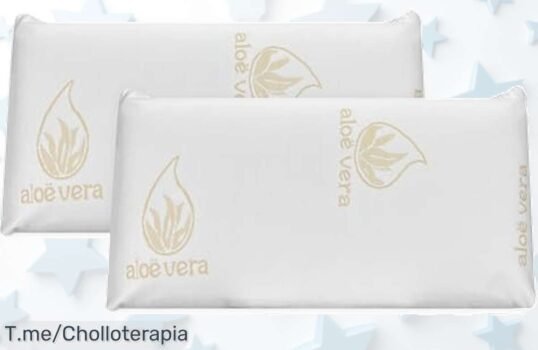 duérmete online con dos almohadas viscoelásticas aloe vera que cuidan tu cuello y eliminan olores disfruta este ofertón nunca visto a precio loco compra ya antes que se acaben