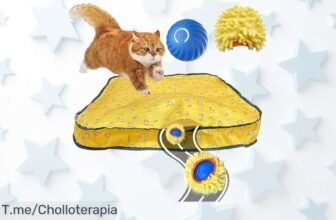 vexnook la pelota inteligente para gatos que esquiva obstáculos sola diversión sin parar con dos modos de juego aprovecha este ofertón y descuento brutal ahora mismo precio loco limitado
