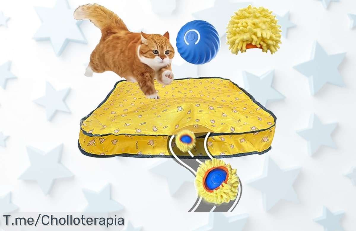 vexnook la pelota inteligente para gatos que esquiva obstáculos sola diversión sin parar con dos modos de juego aprovecha este ofertón y descuento brutal ahora mismo precio loco limitado