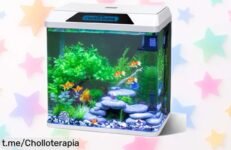 Acuario nobleza 30L con filtro e iluminación LED integrada, una maravilla para principiantes ahora a precio rebajado que no tardará en desaparecer ¡hazte ya con este super chollo y empieza tu aventura acuática hoy mismo!