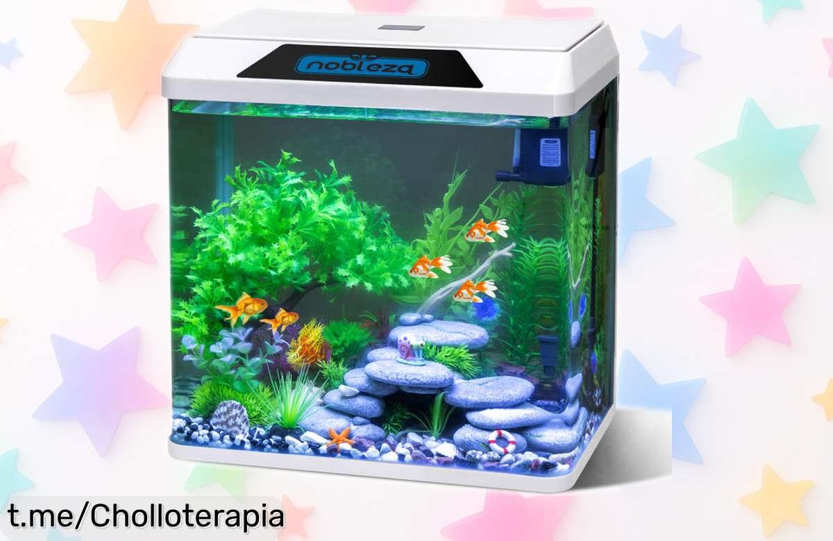 Acuario nobleza 30L con filtro e iluminación LED integrada, una maravilla para principiantes ahora a precio rebajado que no tardará en desaparecer ¡hazte ya con este super chollo y empieza tu aventura acuática hoy mismo!