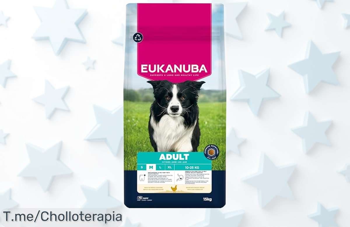 Alimento seco premium para perros medianos con pollo fresco que cuida músculos y articulaciones, mejora pelaje y dientes precio rebajado irresistible corre antes de que se agote esta oferta limitada