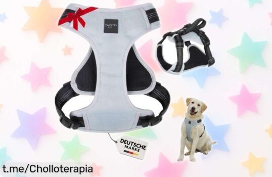 Arnés para perros antitirones FAVVITY pet, reflectante y acolchado con calidad top a precio rebajado ¡Paseos más controlados y seguros en un super ofertón limitado que no puedes dejar pasar!