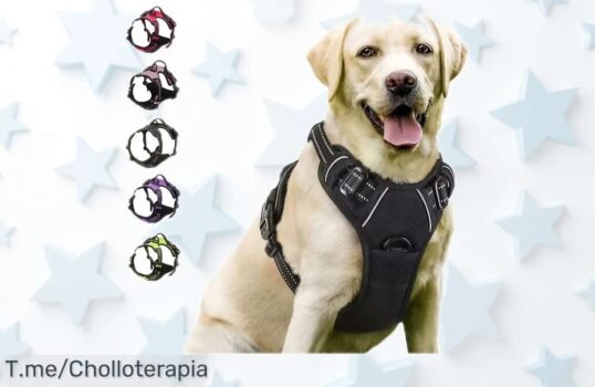 Arnés y chaleco de cuero para perros pequeños y medianos con caída brutal del precio, un super chollo irrepetible lleno de estilo y seguridad para tus peludos, no pierdas la oportunidad que vuela ya mismo ¡hazte con el tuyo!