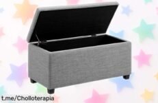 Banco rectangular acolchado Amazon Basics con almacenaje seguro y diseño moderno rebajado por tiempo limitado, un super chollo para organizar tu hogar sin esfuerzo ¡Date prisa que vuelan!