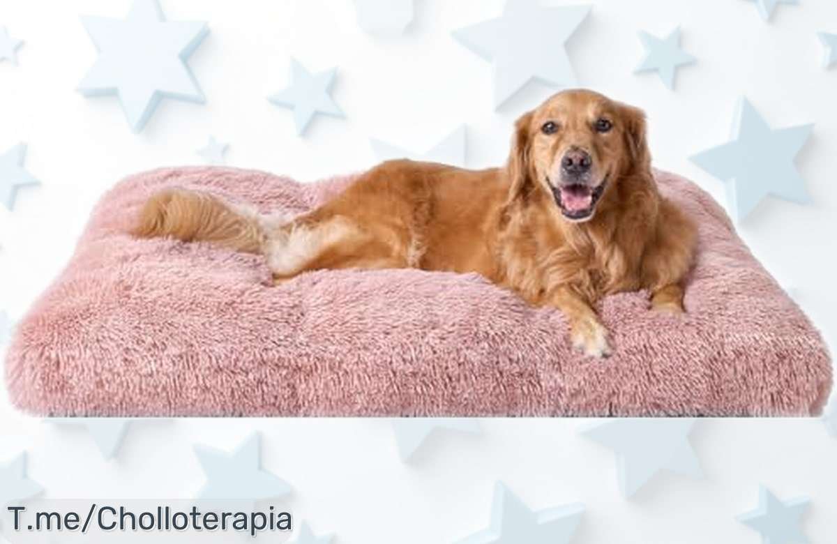 Cama extra grande para perros EHEYCIGA con funda antideslizante y lavable a máquina rebajada al máximo, súper chollo que vuela rápido ¡Consigue ya este ofertón único antes de que desaparezca!