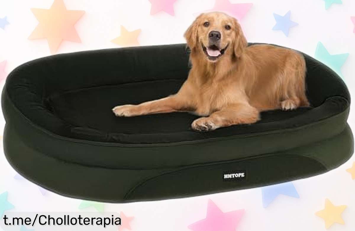 Cama ortopédica para perros HMTOPE con funda impermeable y antideslizante rebajada a un precio muy bajo protege el cuello de tu peludo y facilita su limpieza sorpréndete con esta oportunidad limitada ¡hazla ya tuya antes que se agote!