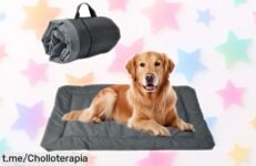 Cama para perro mediano y pequeño con diseño antideslizante y plegable resistente al agua de fácil transporte precio rebajado que no volverás a ver corre que vuelan las unidades