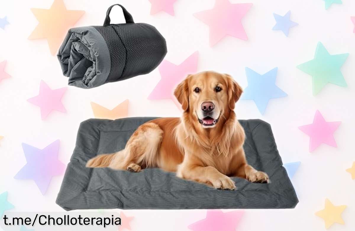 Cama para perro mediano y pequeño con diseño antideslizante y plegable resistente al agua de fácil transporte precio rebajado que no volverás a ver corre que vuelan las unidades.