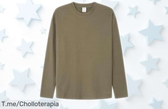 Camiseta kaki Springfield talla M con precio rebajado que no durará mucho, ¡pocas unidades y super chollo para darle vida a tu armario ahora mismo! Corre que se escapan y esta oferta limitada vuela en un abrir y cerrar de ojos