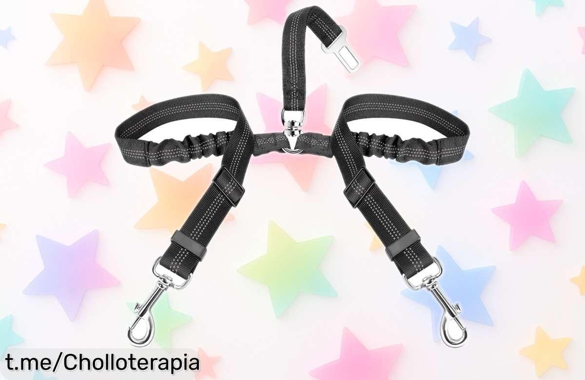 Cinturón de seguridad para perros con doble correa y amortiguador elástico reflectante un super chollo rebajado que protege a tu perro sin enredos ¡Pilla ya esta oferta antes de que se agote!