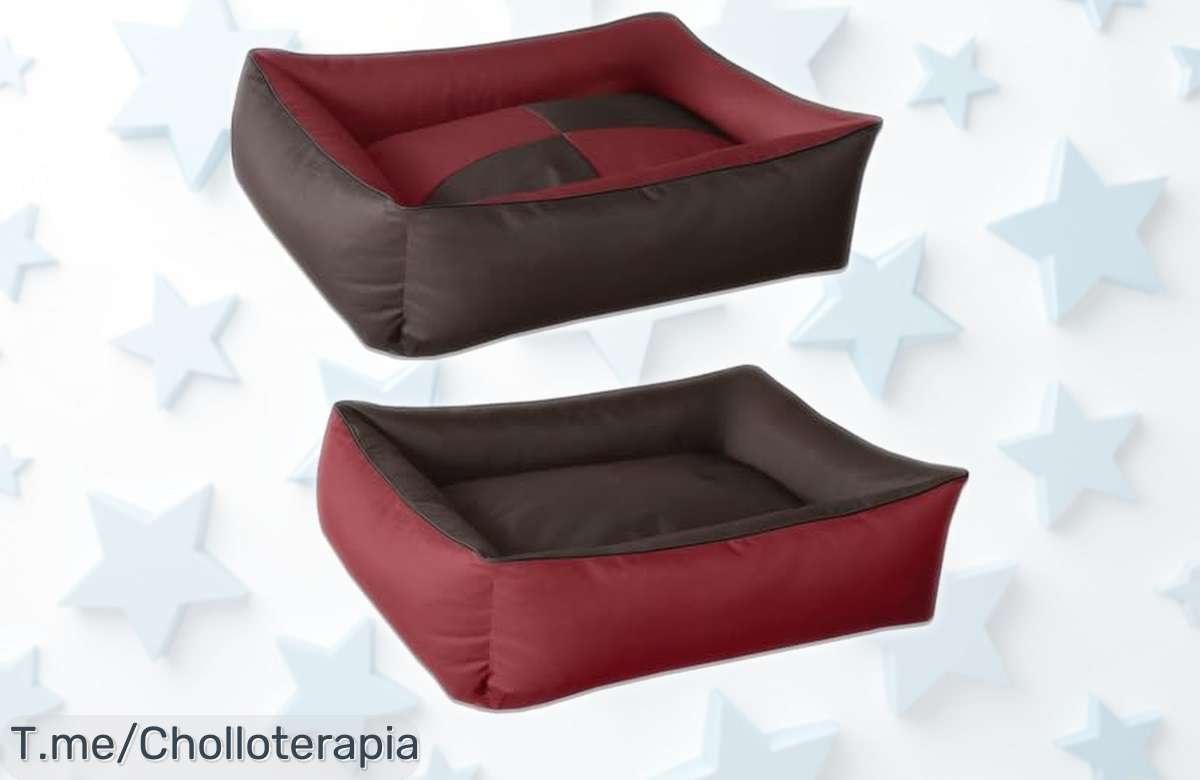 Colchón para perro BedDog 2en1 súper resistente y fácil de limpiar con precio rebajado chollazo que vuela, ideal para todos los tamaños ¡No pierdas esta oferta limitada!