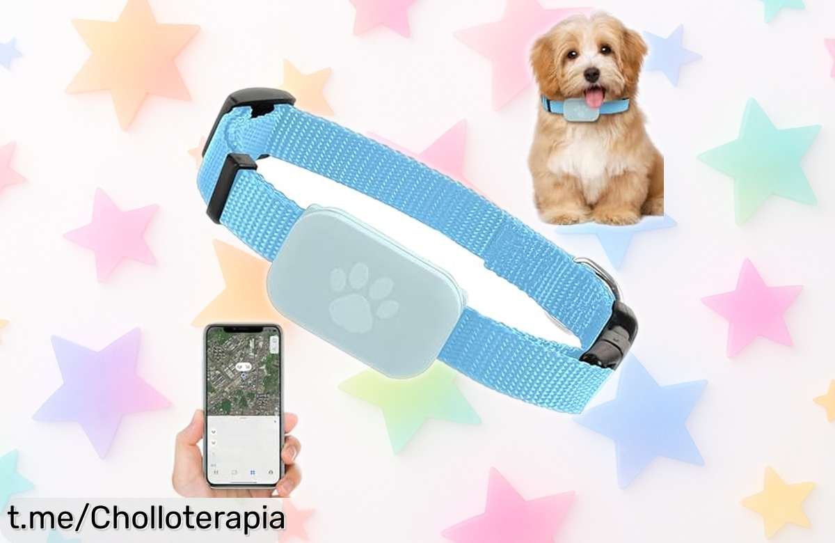 Collar GPS para gato con chip fiable y batería todo el día a precio rebajado súper chollo que protege a tu felino sin cuotas ni líos ¡vence al tiempo y consíguelo ya antes que se agote!