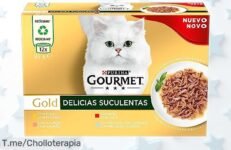 Comida húmeda gourmet para gato adulto con trocitos jugosos en salsa, surtido premium de pollo y salmón, 96 latas a un precio rebajado que vuela rápido ¡No dejes que se te escape este super chollo!