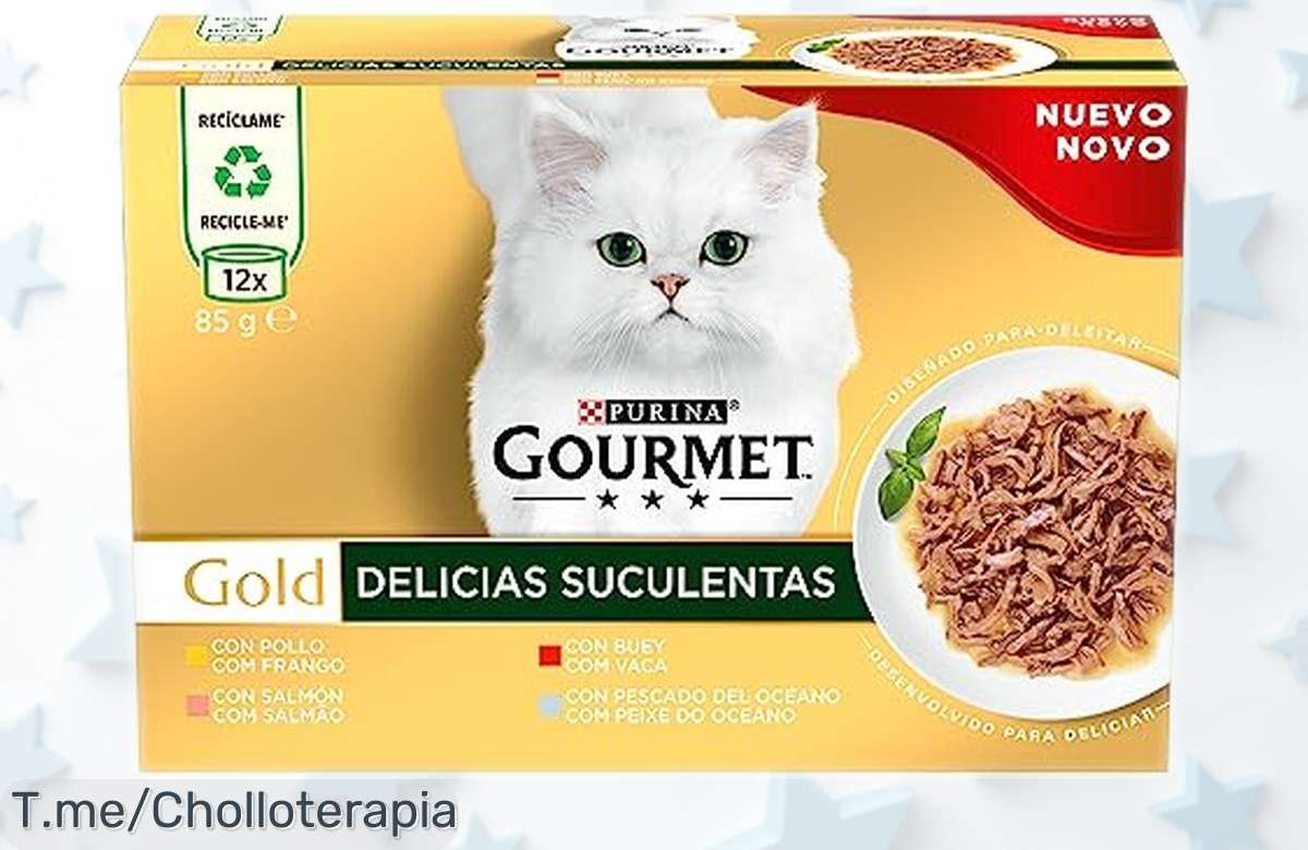 Comida húmeda gourmet para gato adulto con trocitos jugosos en salsa, surtido premium de pollo y salmón, 96 latas a un precio rebajado que vuela rápido ¡No dejes que se te escape este super chollo!