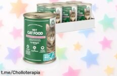 Comida húmeda para gatos by Amazon con salmón ASC, súper chollo sin cereales para mimar sus huesos y corazón; rebajada por tiempo limitado, ¡corre que vuelan estas latas ganadoras!