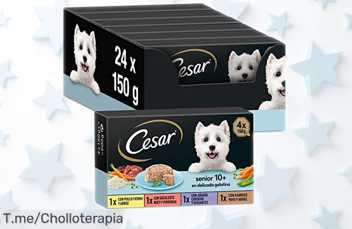 Comida húmeda para perros senior Cesar en multipack de 24 tarrinas con sabor natural y sin cosas raras, precio rebajado que no dura mucho ¡Date prisa antes de que se agote este super chollo!