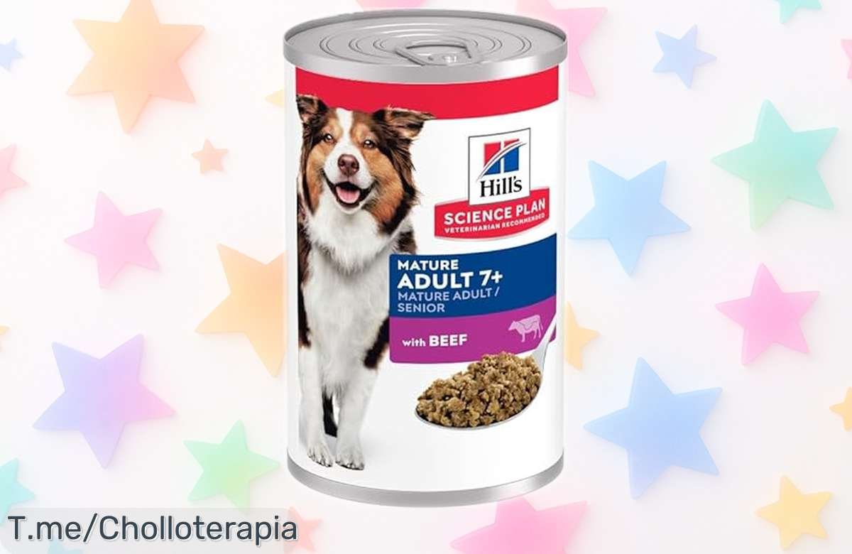 Comida para perros maduros Hill’s HSP ternera en 12 packs sabor que encanta y potencia sus músculos con precio rebajado ¡Corre que vuelan estas unidades únicas!