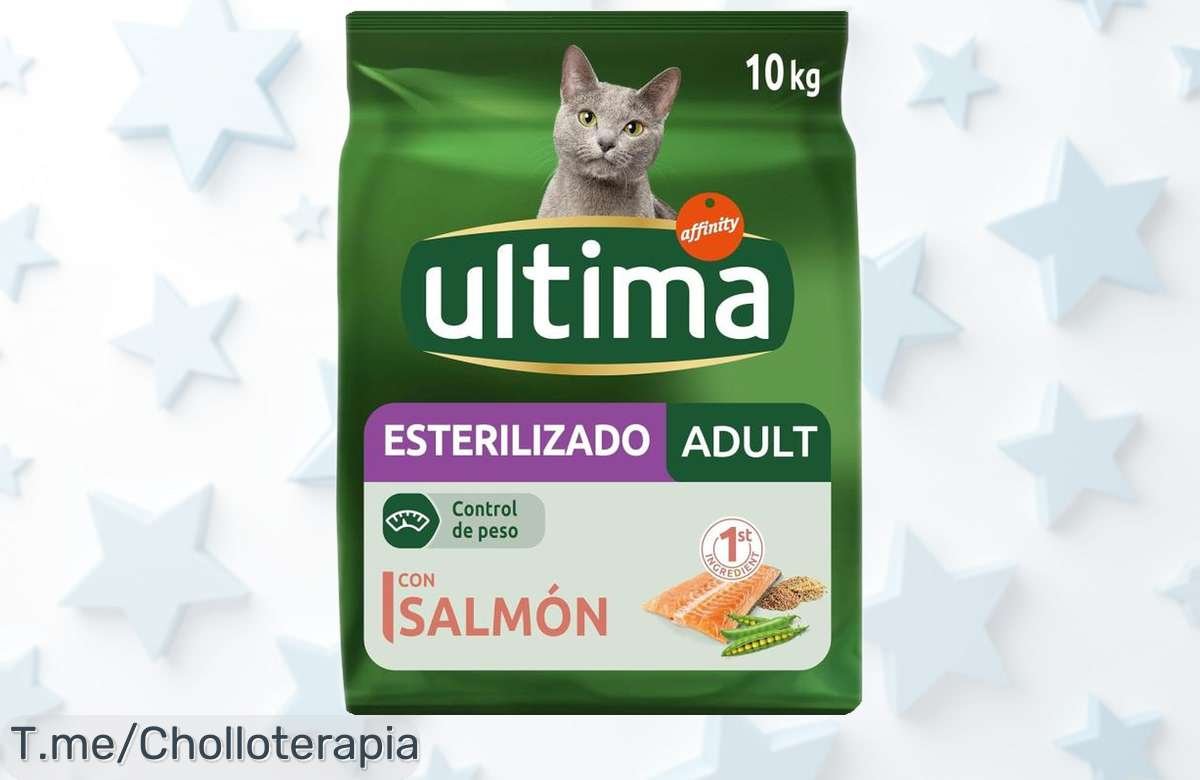 Comida seca para gatos esterilizados sabor salmón 10kg precio rebajado un super chollo irresistible que vuela ¡hazlo tuyo antes de que desaparezca esta oferta única!